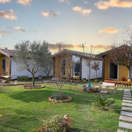 Hotel Villa Linda Szkodra Zewnętrze zdjęcie