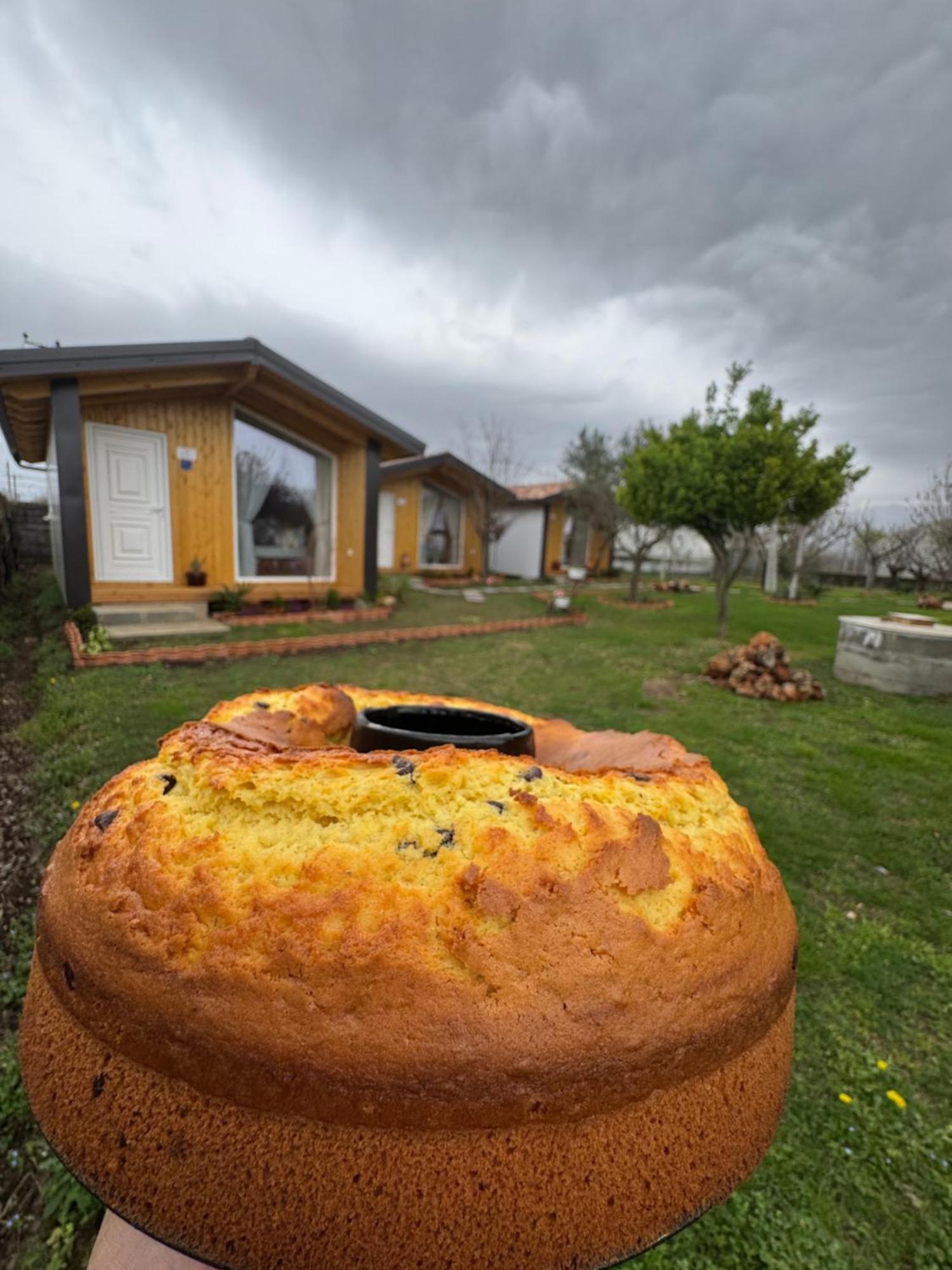 Hotel Villa Linda Szkodra Zewnętrze zdjęcie