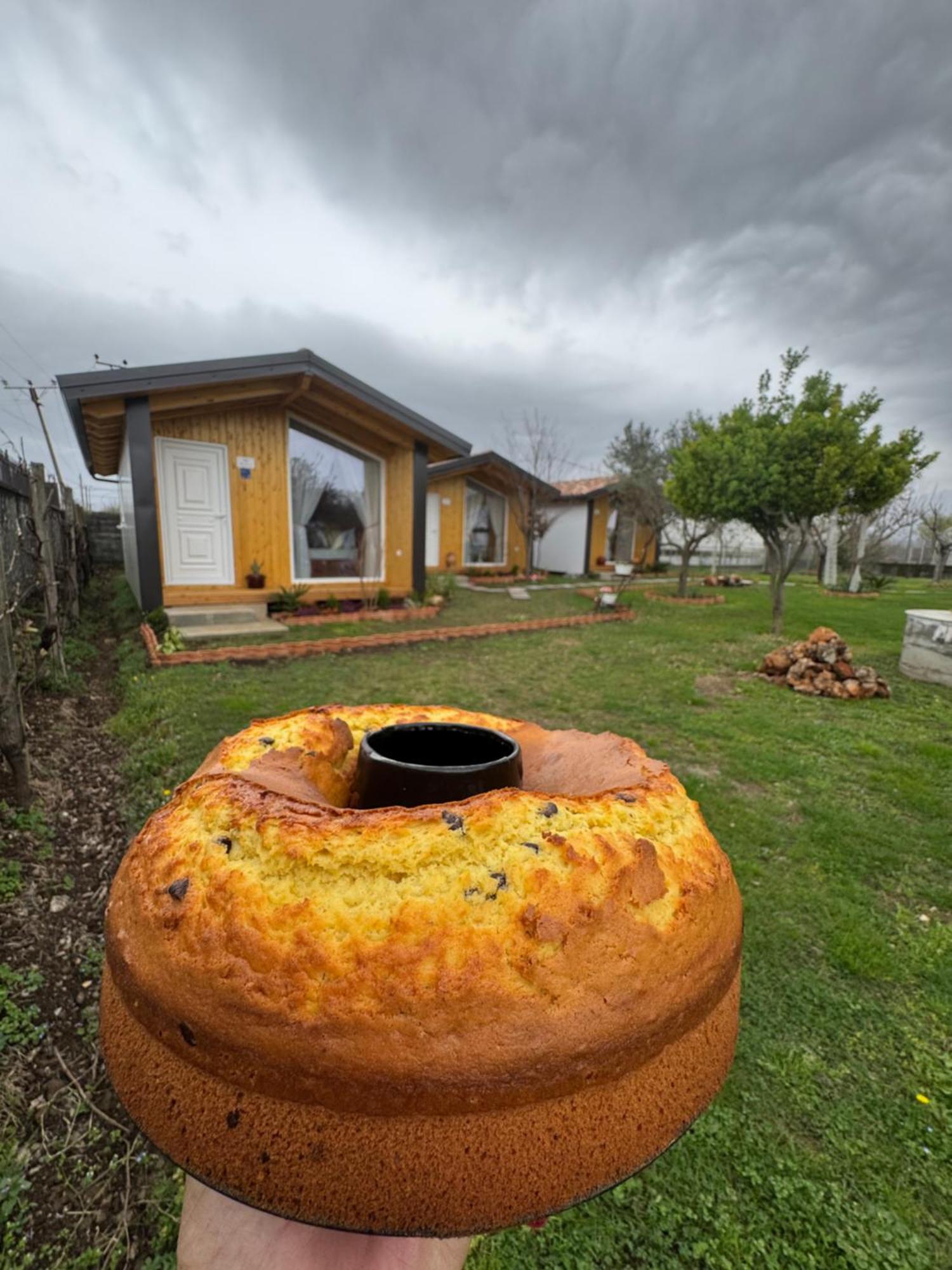 Hotel Villa Linda Szkodra Zewnętrze zdjęcie